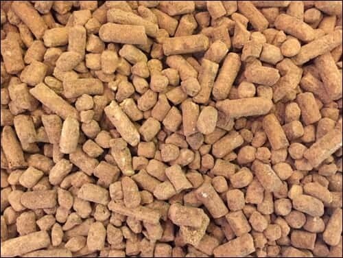 Mint Nibbles (100grams)