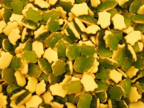 Terrific Turtles (100grams)
