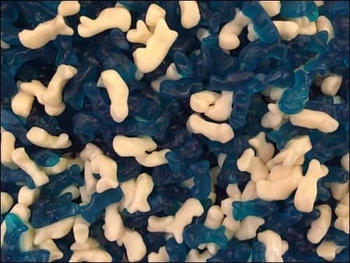 Baby Dolphins (100grams)