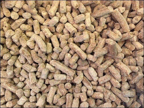 Chocolate Nibbles (100grams)
