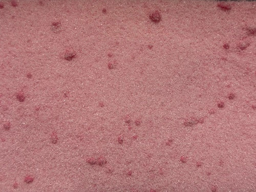 Cream Soda Sherbet (100grams)