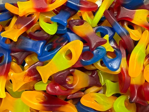 Funky Fish (100grams)