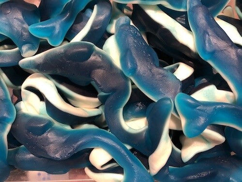 Giant Dolphins (2pieces)