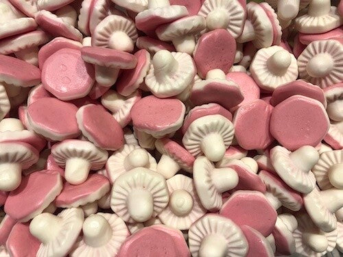 Giant Mushrooms (8pieces)