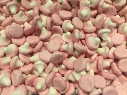Pink Mushrooms (100grams)